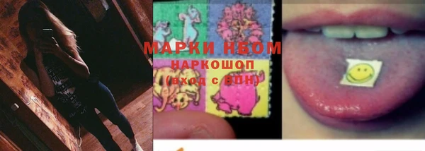 бошки Няндома