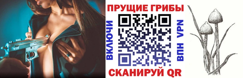 Галлюциногенные грибы Cubensis Миньяр